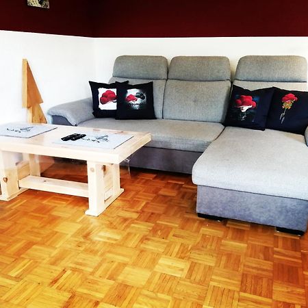 Ferienwohnung Villingen 외부 사진
